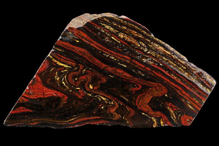 Polished Tiger Iron Stromatolite - ( Billion Years) #96231